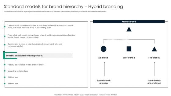 Standard Models For Brand Hierarchy Hybrid Branding Elements PDF