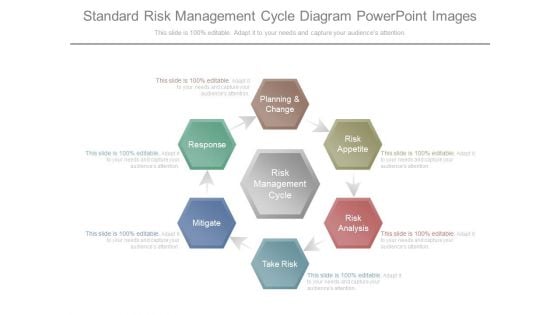 Standard Risk Management Cycle Diagram Powerpoint Images