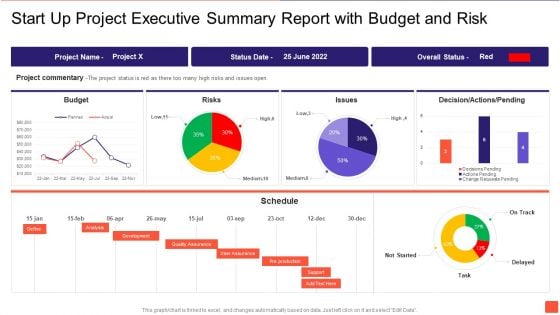 Start Up Project Executive Summary Report With Budget And Risk Demonstration PDF