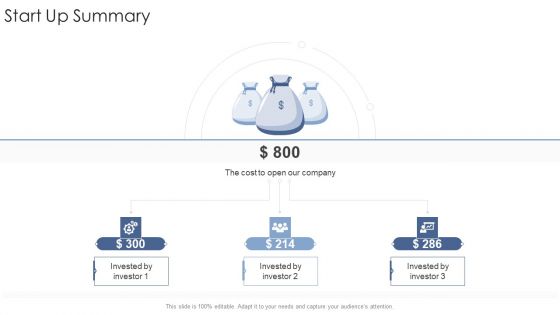 Start Up Summary Startup Business Strategy Ppt Professional Diagrams PDF