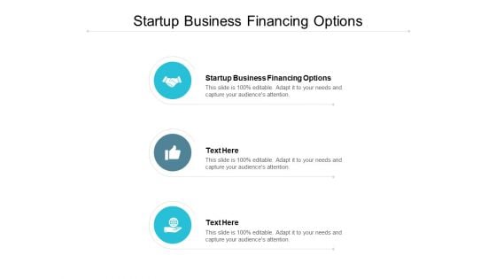 Startup Business Financing Options Ppt PowerPoint Presentation Slides Visual Aids Cpb