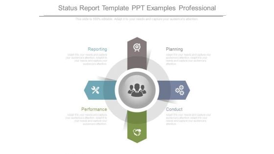 Status Report Template Ppt Examples Professional
