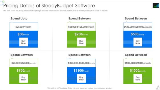 Steadybudget Capital Raising Elevator Pricing Details Of Steadybudget Software Diagrams PDF