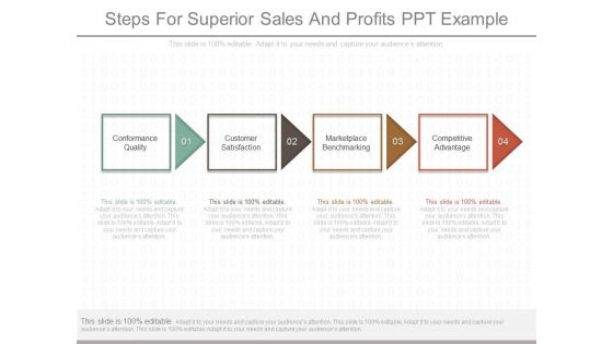 Steps For Superior Sales And Profits Ppt Example