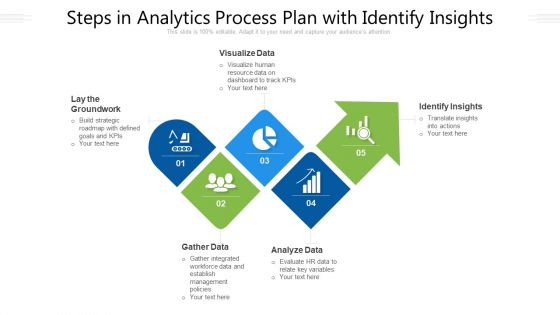 Steps In Analytics Process Plan With Identify Insights Ppt PowerPoint Presentation Gallery Show PDF