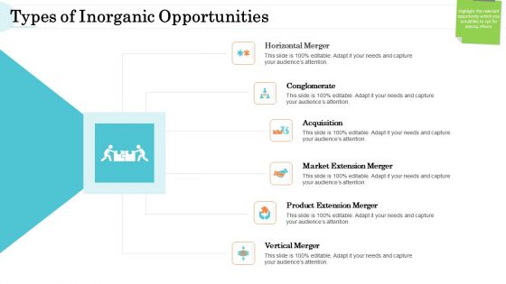 Steps In M And A Process Types Of Inorganic Opportunities Graphics PDF