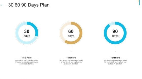 Stock Offering As An Exit Alternative 30 60 90 Days Plan Ppt Pictures Portfolio PDF