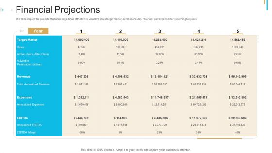 Stock Offering As An Exit Alternative Financial Projections Microsoft PDF