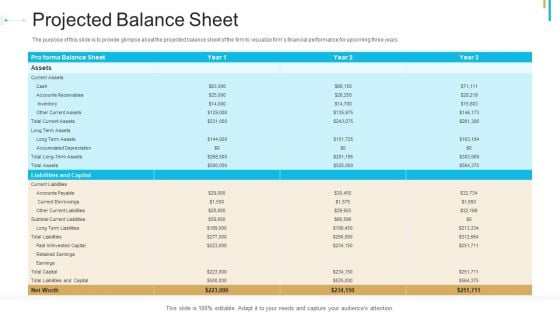 Stock Offering As An Exit Alternative Projected Balance Sheet Rules PDF