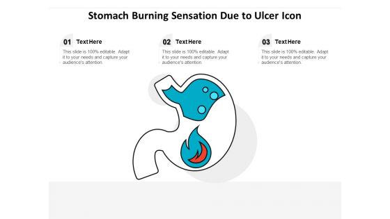 Stomach Burning Sensation Due To Ulcer Icon Ppt PowerPoint Presentation Model Deck PDF