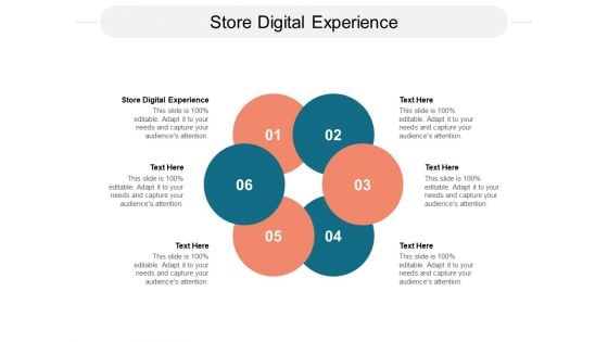 Store Digital Experience Ppt PowerPoint Presentation Professional Model Cpb