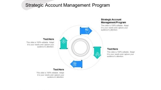 Strategic Account Management Program Ppt PowerPoint Presentation Inspiration Shapes Cpb