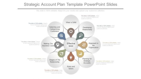 Strategic Account Plan Template Powerpoint Slides