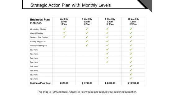 Strategic Action Plan With Monthly Levels Ppt PowerPoint Presentation Icon Ideas PDF