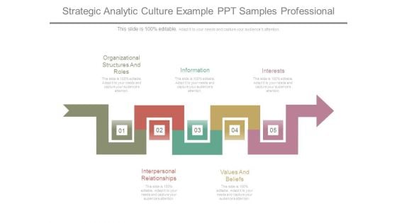 Strategic Analytic Culture Example Ppt Samples Professional Strategic Analytic Culture Example Ppt Samples Professional
