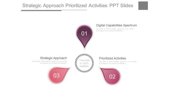 Strategic Approach Prioritized Activities Ppt Slides