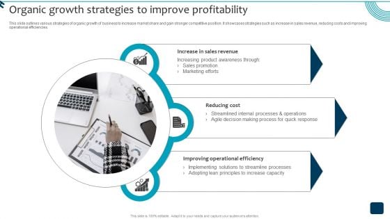 Strategic Brand Growth Plan For Market Leadership Organic Growth Strategies Demonstration PDF Strategic Brand Growth Plan For Market Leadership Organic Growth Strategies Demonstration PDF