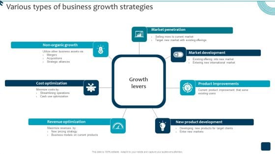 Strategic Brand Growth Plan For Market Leadership Various Types Of Business Portrait PDF