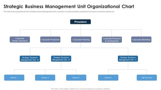 Strategic Business Management Unit Organizational Chart Ideas PDF