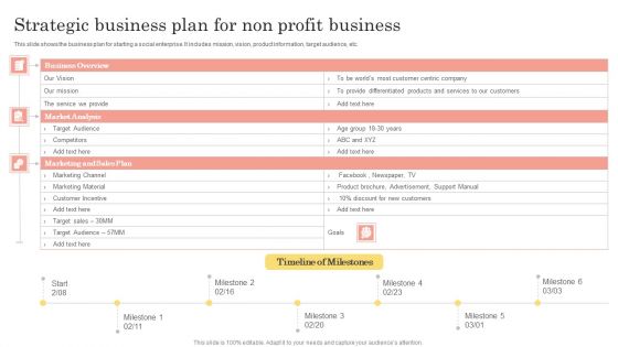 Strategic Business Plan For Non Profit Business Themes PDF