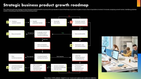 Strategic Business Product Growth Roadmap Guidelines PDF