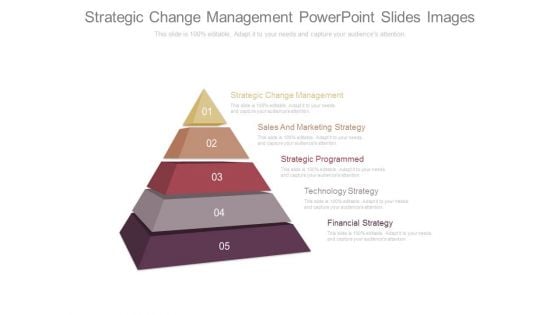 Strategic Change Management Powerpoint Slides Images