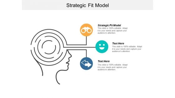 Strategic Fit Model Ppt Powerpoint Presentation Inspiration Themes Cpb