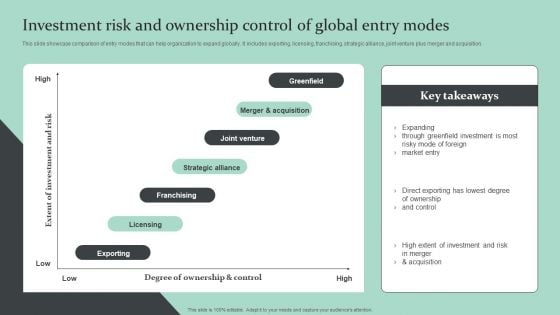 Strategic Global Expansion Business Plan Investment Risk And Ownership Control Professional PDF