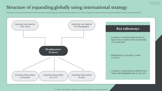 Strategic Global Expansion Business Plan Structure Of Expanding Globally Using International Strategy Professional PDF Strategic Global Expansion Business Plan Structure Of Expanding Globally Using International Strategy Professional PDF