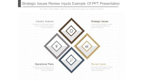 Strategic Issues Review Inputs Example Of Ppt Presentation