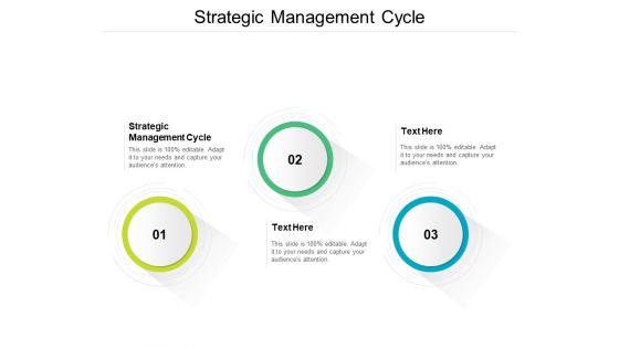 Strategic Management Cycle Ppt PowerPoint Presentation Icon Show Cpb