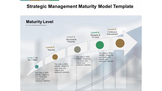 Strategic Management Maturity Model Template Ppt PowerPoint Presentation Infographic Template Guidelines