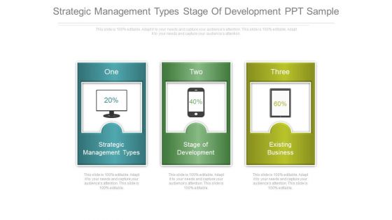 Strategic Management Types Stage Of Development Ppt Sample