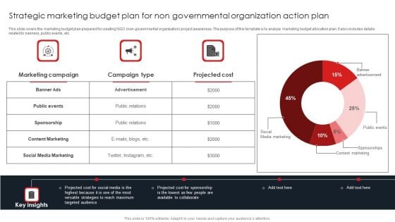 Strategic Marketing Budget Plan For Non Governmental Organization Action Plan Background PDF
