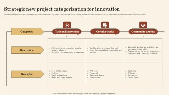 Strategic New Project Categorization For Innovation Ideas PDF