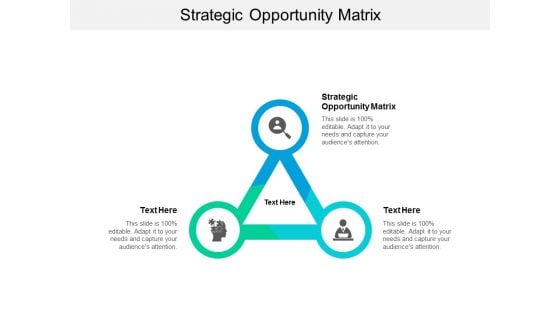 Strategic Opportunity Matrix Ppt PowerPoint Presentation Outline Vector Cpb