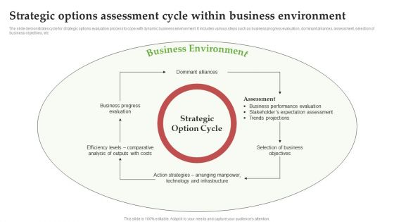 Strategic Options Assessment Cycle Within Business Environment Ppt PowerPoint Presentation File Layouts PDF