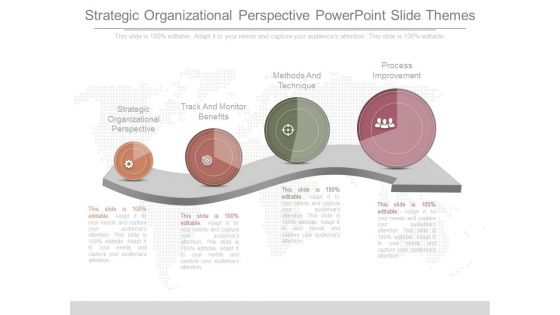 Strategic Organizational Perspective Powerpoint Slide Themes