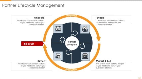 Strategic Partnership Management Plan Partner Lifecycle Management Designs PDF