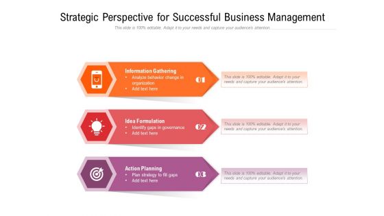 Strategic Perspective For Successful Business Management Ppt PowerPoint Presentation Summary Show PDF