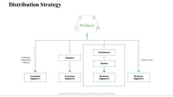 Strategic Plan For Business Expansion And Growth Distribution Strategy Summary PDF