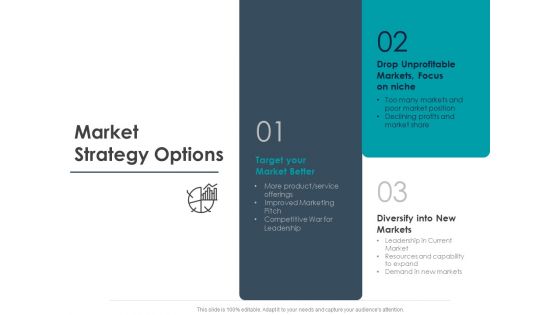 Strategic Plan For Companys Development Market Strategy Options Ppt PowerPoint Presentation Model