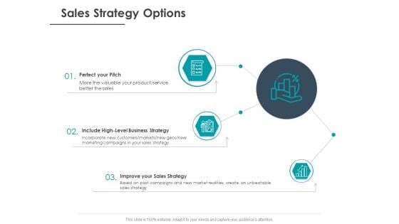 Strategic Plan For Companys Development Sales Strategy Options Ppt PowerPoint Presentation Styles Background Designs