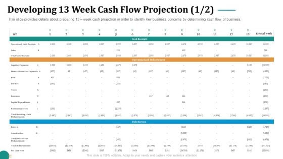 Strategic Plan For Corporate Recovery Developing 13 Week Cash Flow Projection Download PDF