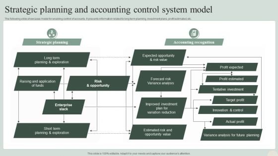 Strategic Planning And Accounting Control System Model Professional PDF