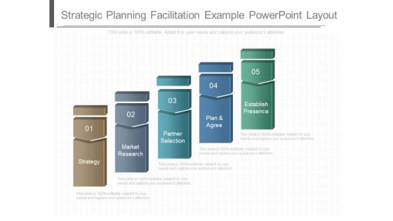 Strategic Planning Facilitation Example Power Point Layout