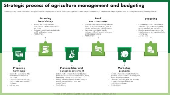 Strategic Process Of Agriculture Management And Budgeting Sample PDF Strategic Process Of Agriculture Management And Budgeting Sample PDF