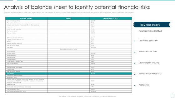 Strategic Risk Management And Mitigation Plan Analysis Of Balance Sheet To Identify Potential Financial Risks Professional PDF
