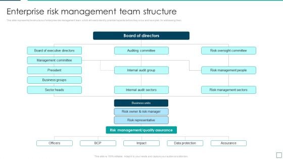 Strategic Risk Management And Mitigation Plan Enterprise Risk Management Team Structure Template PDF