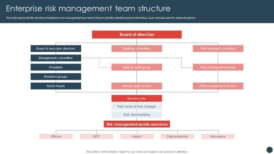 Strategic Risk Management Plan Enterprise Risk Management Team Structure Sample PDF